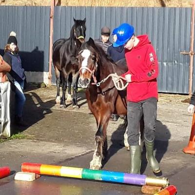 Equine Facilitated Learning